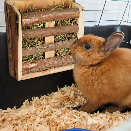 Rustic hay hedge set of 2