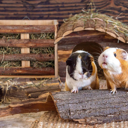 Rustic hay hedge set of 2