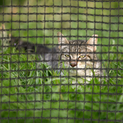 Safety net stand trampoline