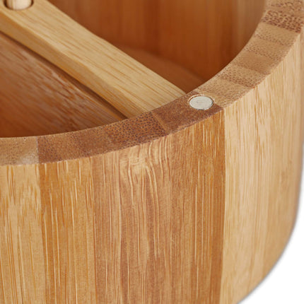 Salt container with lid