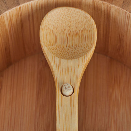 Salt container with lid
