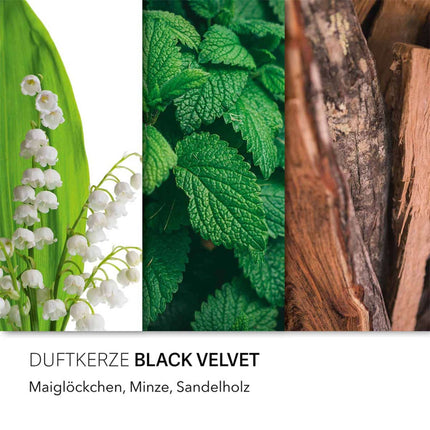Duftkerze, Glasgefäß, zwei Baumwolldochte