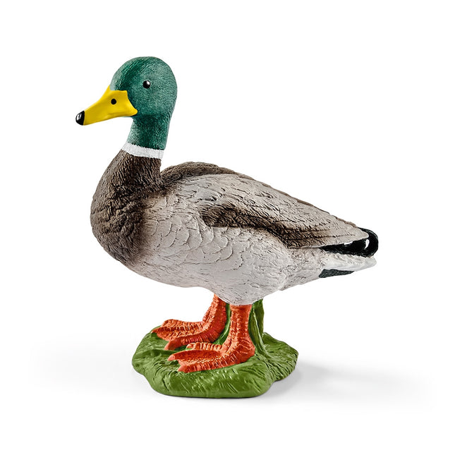 Schleich Farm World kačer