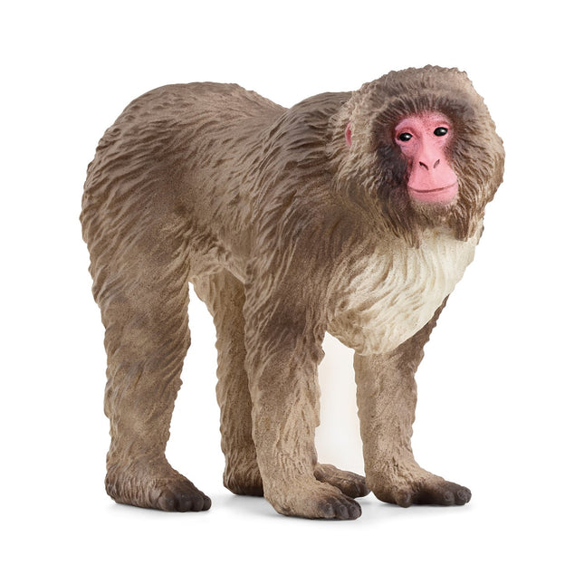 Schleich Wild Life makak japonský