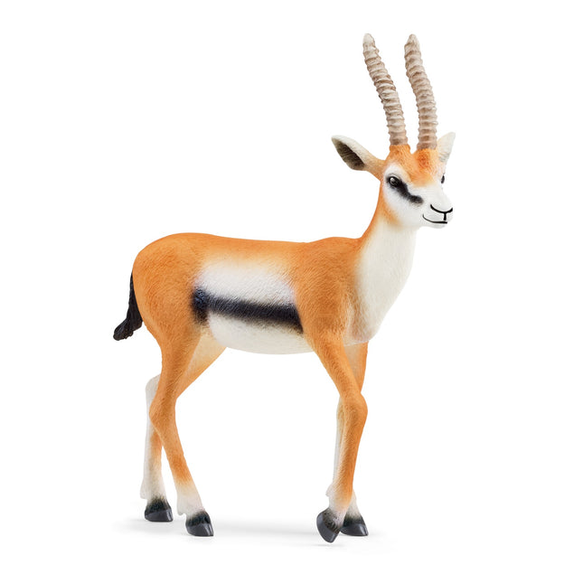 Schleich Wild Life gazela Thomsonova
