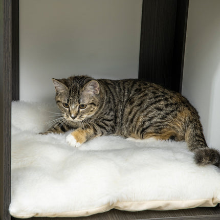Cat climbing tree with sisal posts and bed, dark grey/white