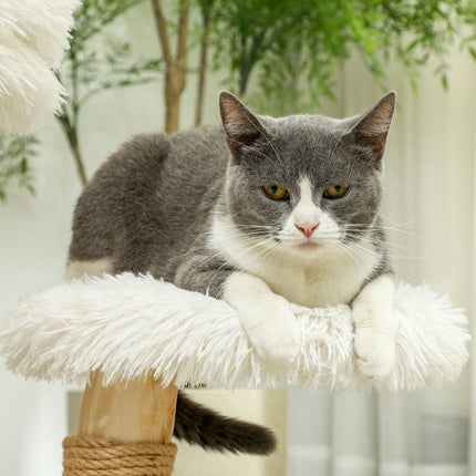 Katzenkratzbaum mit Spielball, Betten, für Katzen <5 kg