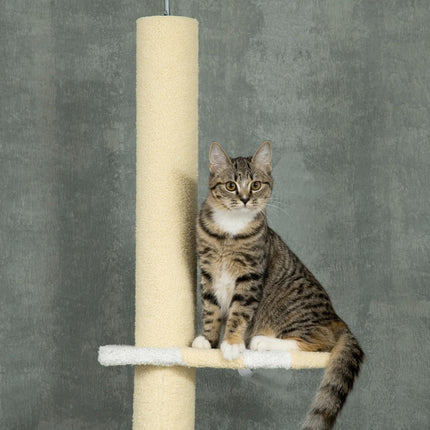 Nastavitelné kočičí škrabadlo s hracím míčkem, 220-260 cm