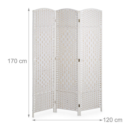 Screen wall with 3 panels