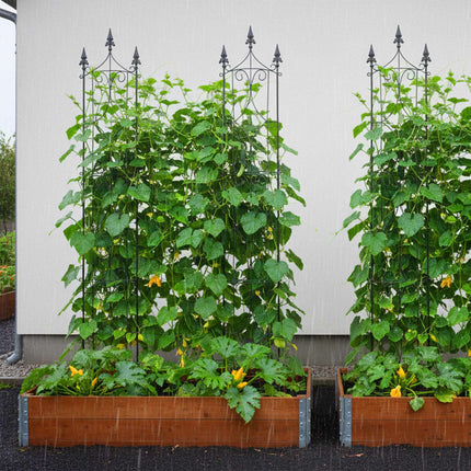Semicircular Metal Rose Trellis for Climbing Plants, Set of 2, 183 cm, Black
