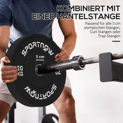 Ein Paar 20-kg-Hantelscheiben, schwarz, 50-mm-Loch