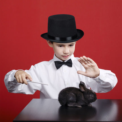 Set of 4 top hats