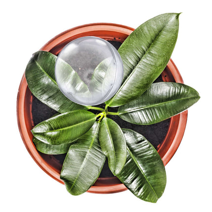 Set of 5 watering balls