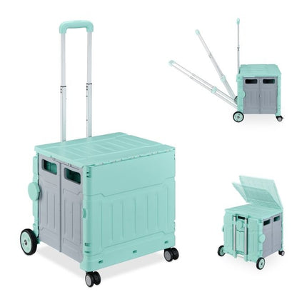 Shopping cart with lid