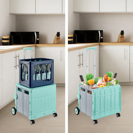 Shopping cart with lid