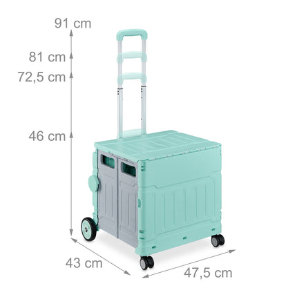 Shopping cart with lid