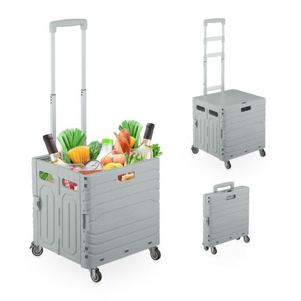 Shopping cart with telescopic handle