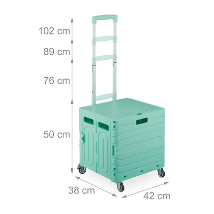 Shopping cart with telescopic handle