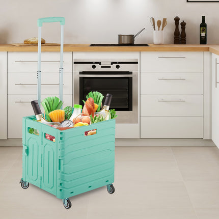 Shopping cart with telescopic handle