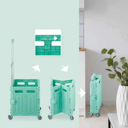 Shopping cart with telescopic handle
