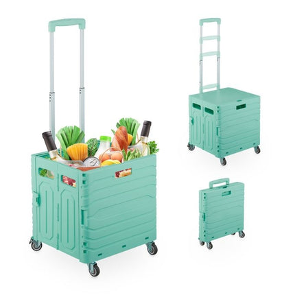 Shopping cart with telescopic handle