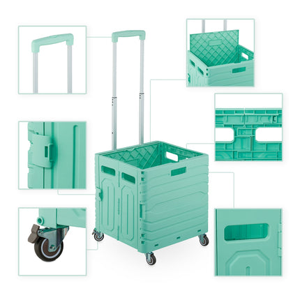 Shopping cart with telescopic handle