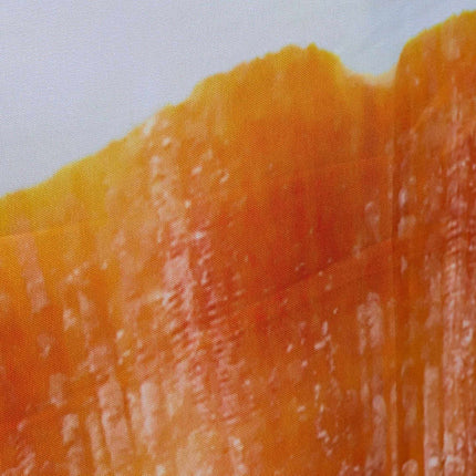 Duschvorhang 180x200 cm mit Motiv