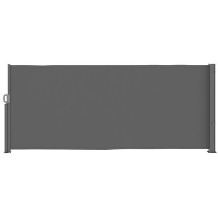 Dunkelgraue ausziehbare Seitenmarkise, 300x140cm Sichtschutz