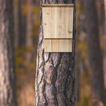 Schräge Fledermausnistkasten
