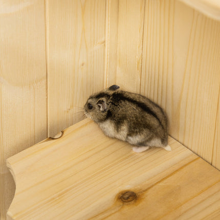 Kleintierkäfig mit Gitterdach; 5-stufige Holzhütte