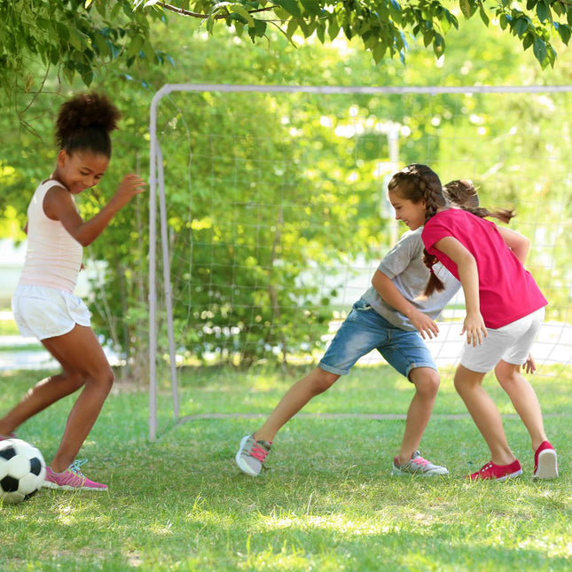 Voetbaldoel in wit staal