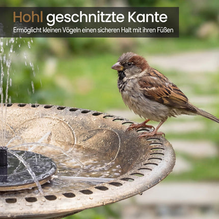 Solar-Vogeltränke mit Brunnen, 50 x 50 x 72 cm, Bronze