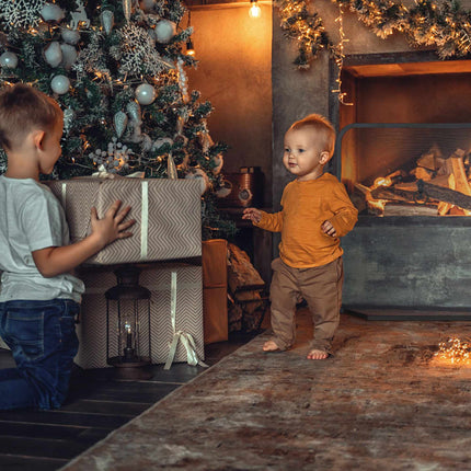 Spark protector for fireplace