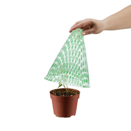 Gepunkteter Pflanzenhut 10er-Pack