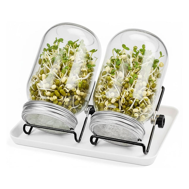 Sprouting Jar Kit, 2 Jars with Holder & Tray