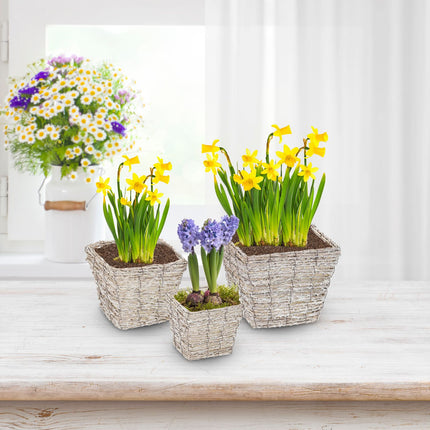 Pot de fleurs carré - lot de 3