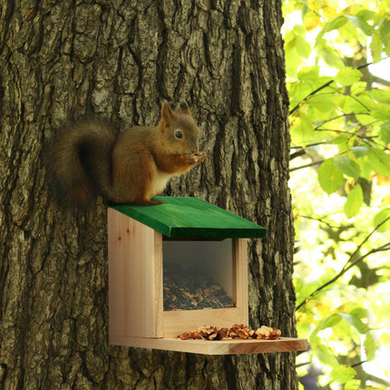 Squirrel feeder Wood