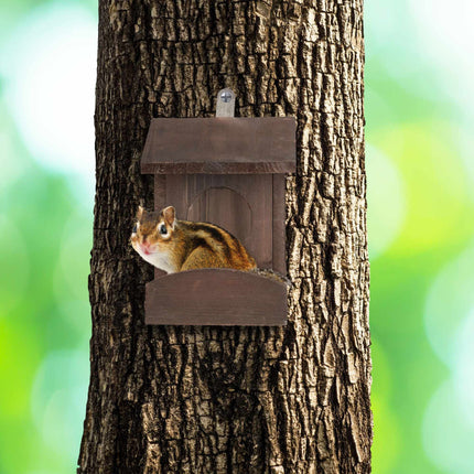 Squirrel feeder for placement