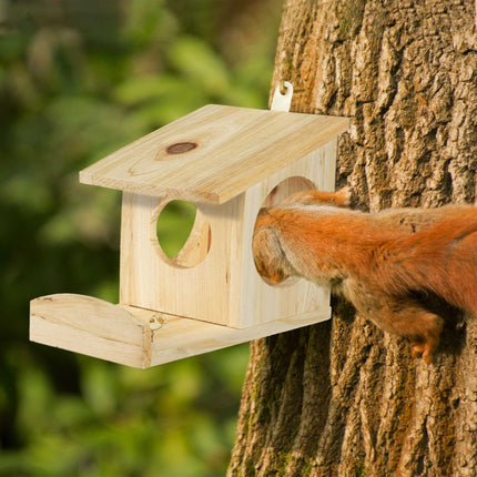 Squirrel feeder for placement