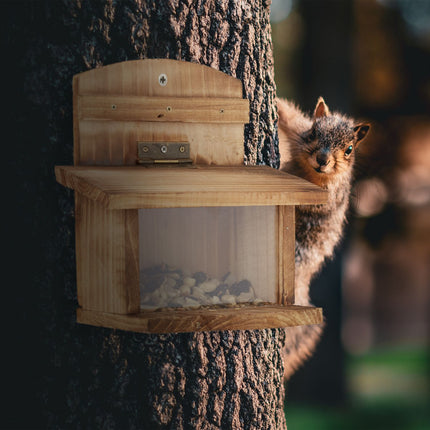 Squirrel feeder - set of 2