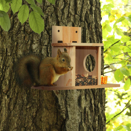 Squirrel feeder with 2 inputs