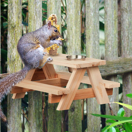 Squirrel table with water trough
