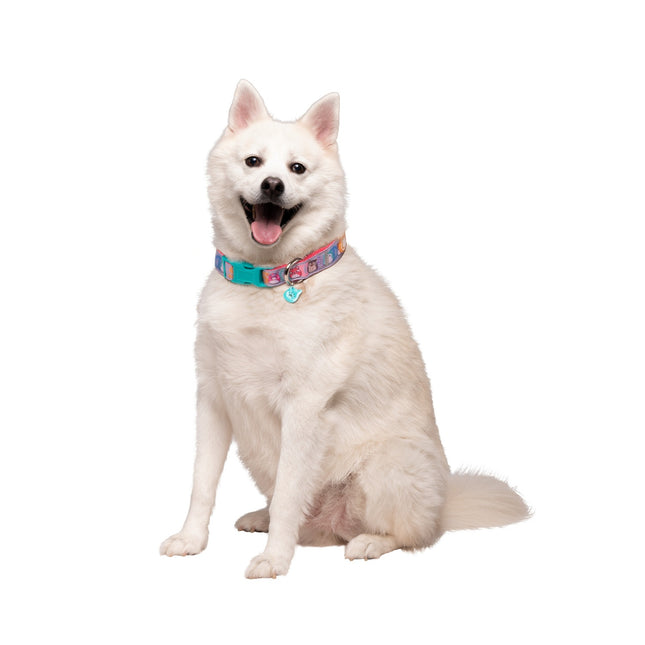Squishmallows Halsband für Hunde, Groß