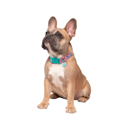 Squishmallows Hundehalsband, Mittel