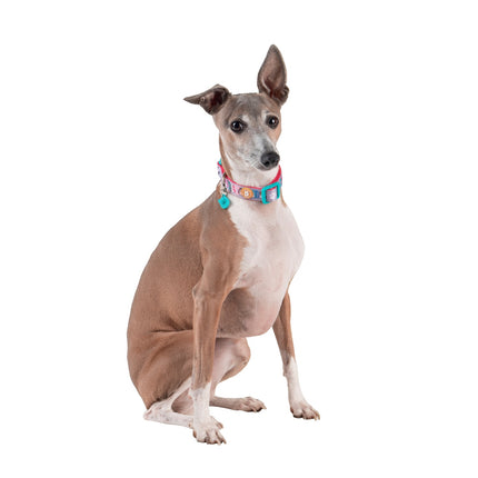Squishmallows Halsband für Hunde, Klein