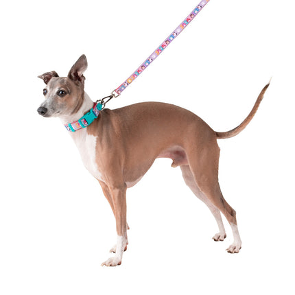 Squishmallows Halsband für Hunde, Klein