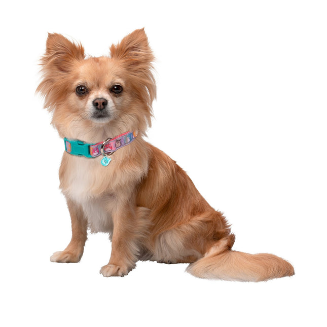 Squishmallows Halsband für Hunde, Klein