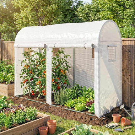 Steel Frame Greenhouse with Windows and Doors, 300x100x200 cm