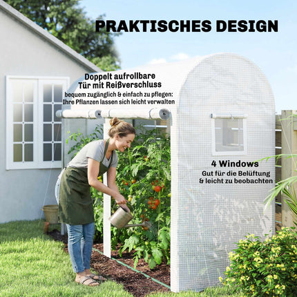 Steel Frame Greenhouse with Windows and Doors, 300x100x200 cm