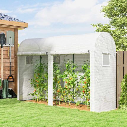 Steel Frame Greenhouse with Windows and Doors, 300x100x200 cm